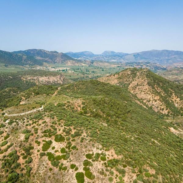 Almerimar