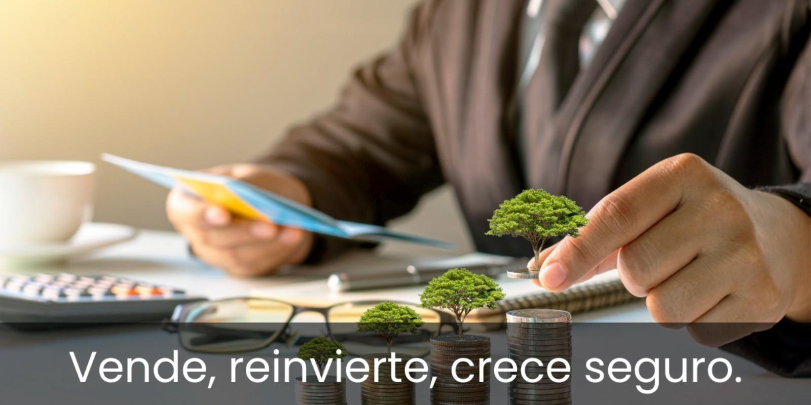 Estrategias para Vender tu Propiedad y Multiplicar tu Patrimonio